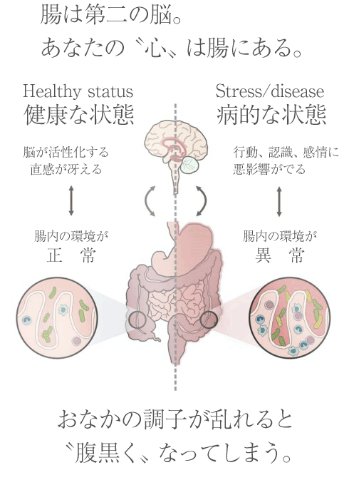 脳と腸